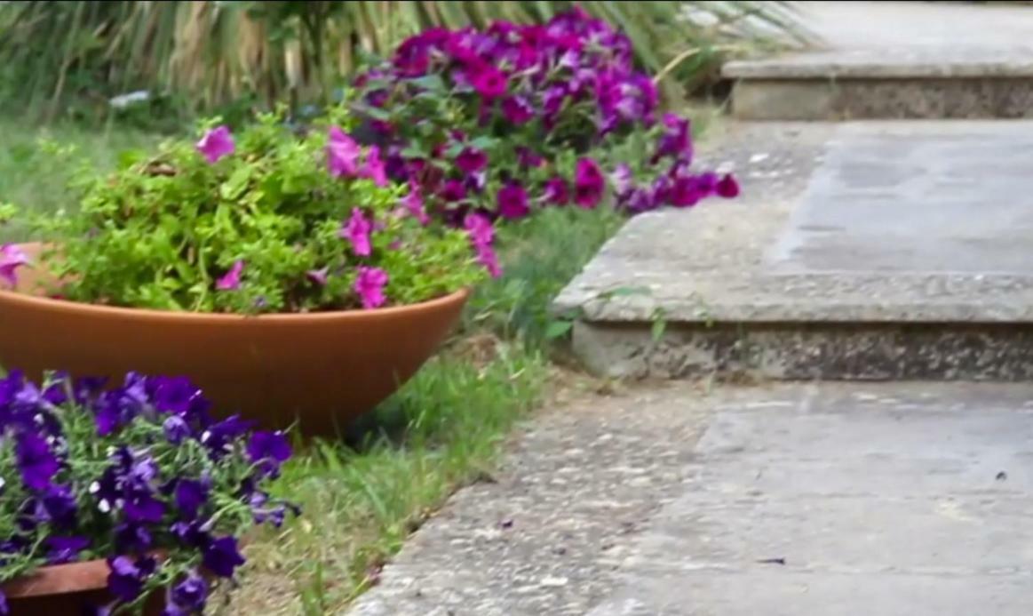 B&B Villa Victoria Ραγκούσα Εξωτερικό φωτογραφία